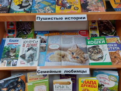 «Кошки с книжной обложки»