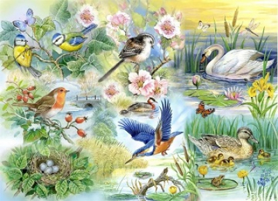 Экологический час ко дню птиц «Крылатые соседи – пернатые друзья»