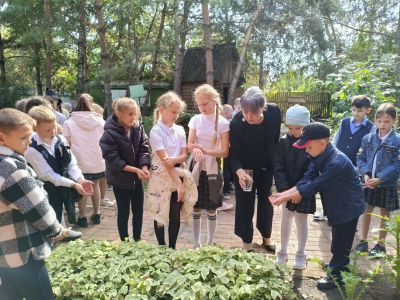 Капля жизни